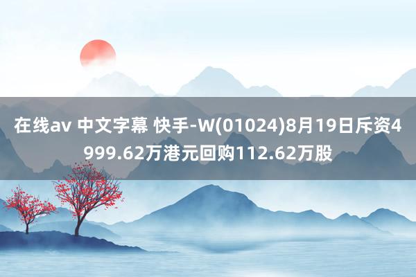 在线av 中文字幕 快手-W(01024)8月19日斥资4999.62万港元回购112.62万股