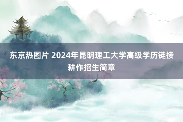 东京热图片 2024年昆明理工大学高级学历链接耕作招生简章