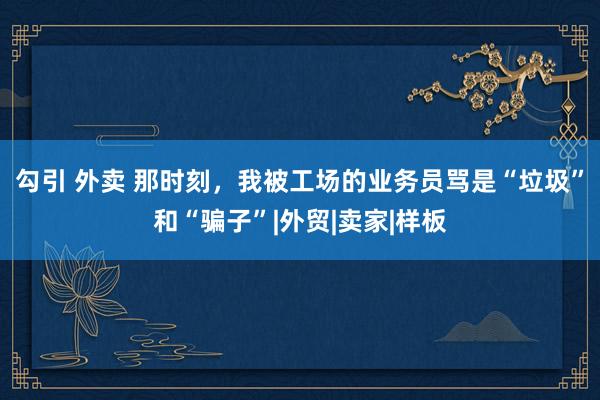 勾引 外卖 那时刻，我被工场的业务员骂是“垃圾”和“骗子”|外贸|卖家|样板