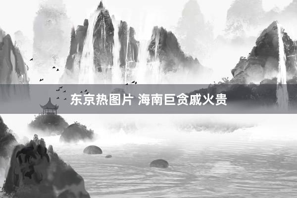 东京热图片 海南巨贪戚火贵