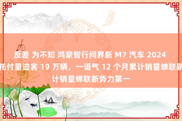 反差 为不知 鸿蒙智行问界新 M7 汽车 2024 年度累计托付量迫害 19 万辆，一语气 12 个月累计销量蝉联新势力第一