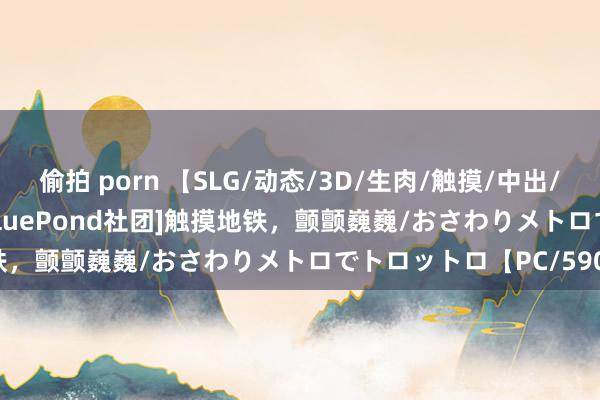 偷拍 porn 【SLG/动态/3D/生肉/触摸/中出/强X】[RJ01284821/BluePond社团]触摸地铁，颤颤巍巍/おさわりメトロでトロットロ【PC/590M】