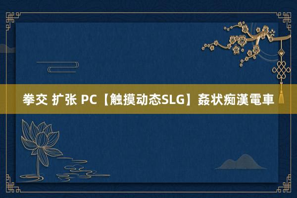 拳交 扩张 PC【触摸动态SLG】姦状痴漢電車
