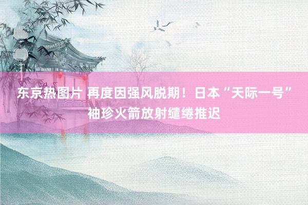 东京热图片 再度因强风脱期！日本“天际一号”袖珍火箭放射缱绻推迟