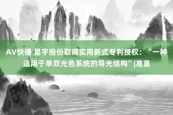 AV快播 星宇股份取得实用新式专利授权：“一种适用于单双光色系统的导光结构”|准直
