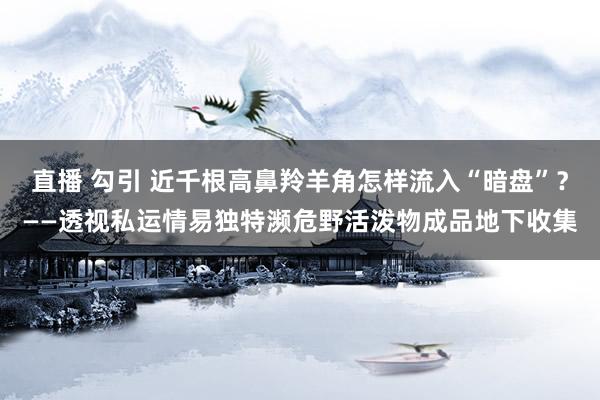 直播 勾引 近千根高鼻羚羊角怎样流入“暗盘”？——透视私运情易独特濒危野活泼物成品地下收集