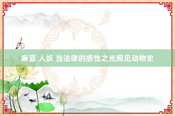 麻豆 人妖 当法律的感性之光照见动物史