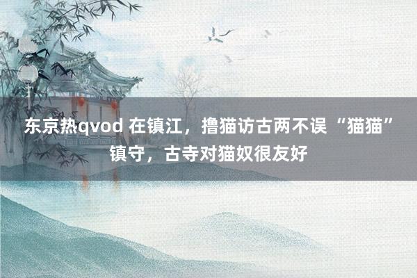 东京热qvod 在镇江，撸猫访古两不误 “猫猫”镇守，古寺对猫奴很友好