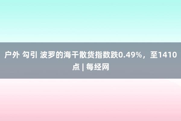 户外 勾引 波罗的海干散货指数跌0.49%，至1410点 | 每经网