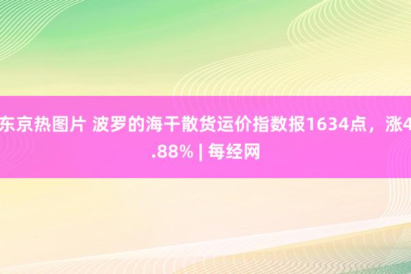 东京热图片 波罗的海干散货运价指数报1634点，涨4.88% | 每经网