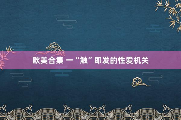欧美合集 一“触”即发的性爱机关
