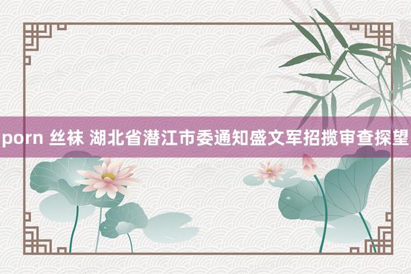 porn 丝袜 湖北省潜江市委通知盛文军招揽审查探望
