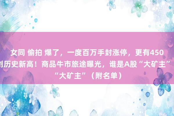 女同 偷拍 爆了，一度百万手封涨停，更有4500亿龙头创历史新高！商品牛市旅途曝光，谁是A股“大矿主”（附名单）