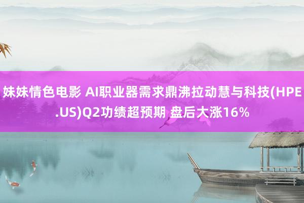 妹妹情色电影 AI职业器需求鼎沸拉动慧与科技(HPE.US)Q2功绩超预期 盘后大涨16%