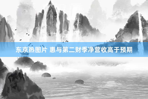 东京热图片 惠与第二财季净营收高于预期