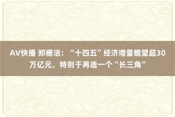 AV快播 郑栅洁：“十四五”经济增量瞻望超30万亿元，特别于再造一个“长三角”