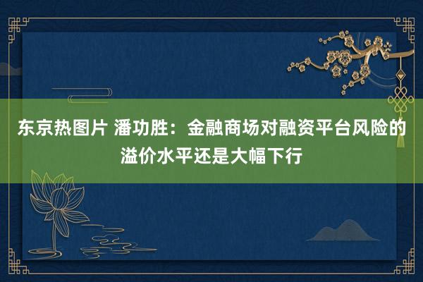 东京热图片 潘功胜：金融商场对融资平台风险的溢价水平还是大幅下行