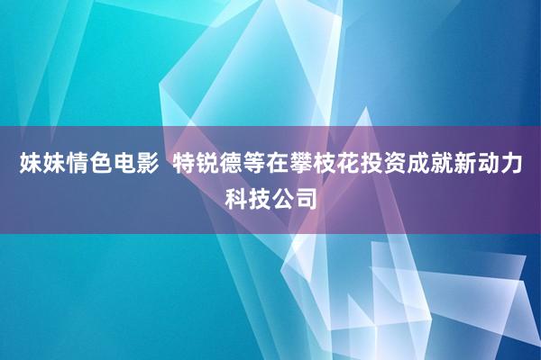 妹妹情色电影  特锐德等在攀枝花投资成就新动力科技公司